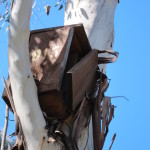 Nest boxes need regular monitoring and maintenance (Isabel Brom, 2011)