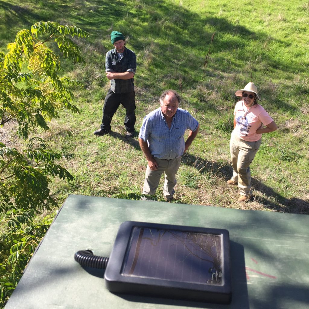 Camera nest box installed in Thurgoona with the help of Rob Fenton (Head lecturer at National Environment Centre) and some of his students.